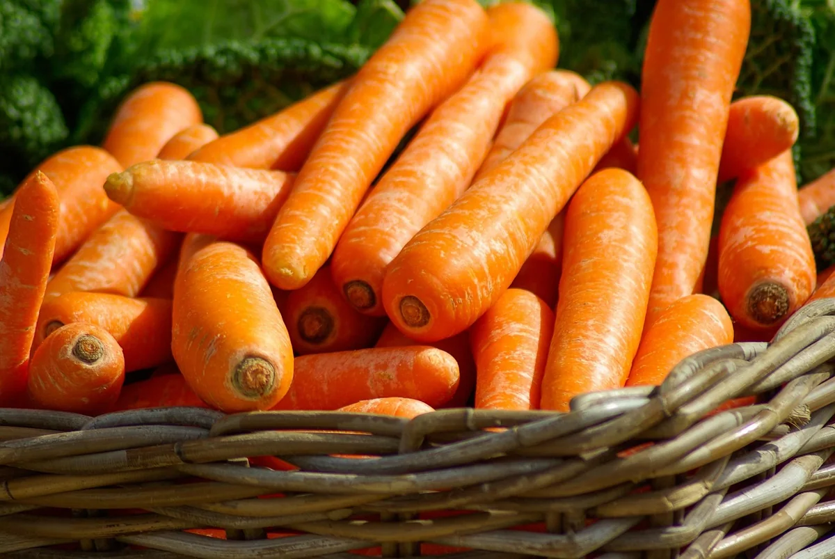 Fresh carrots piled in a basket at a market
